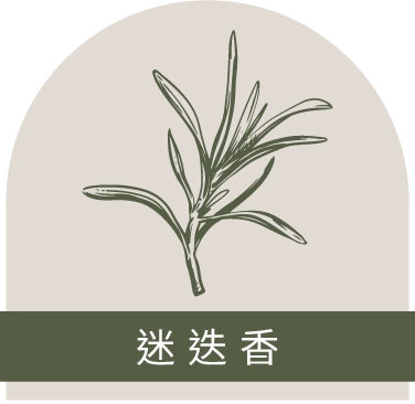 迷迭香