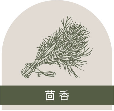 茴香